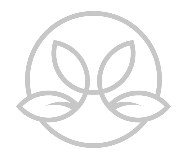 Веб-поставщик Mirrey